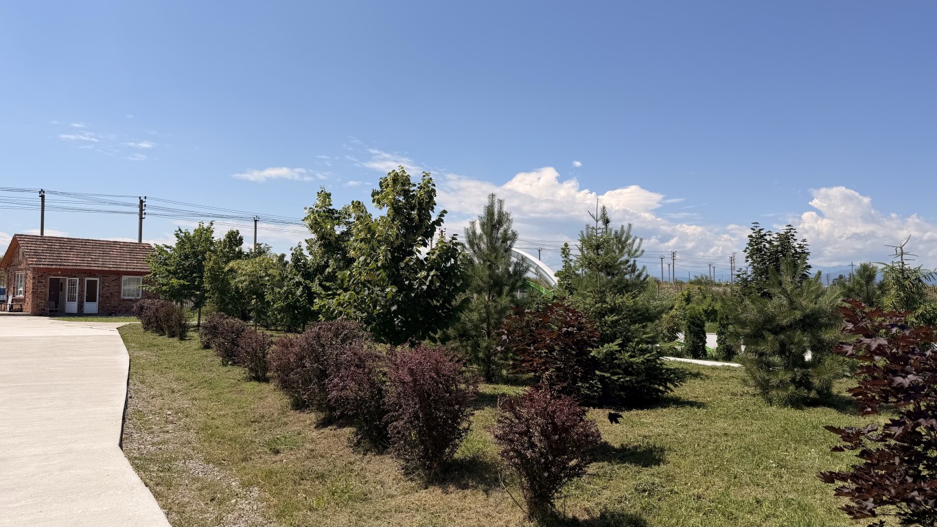 Большой бассейн River Park