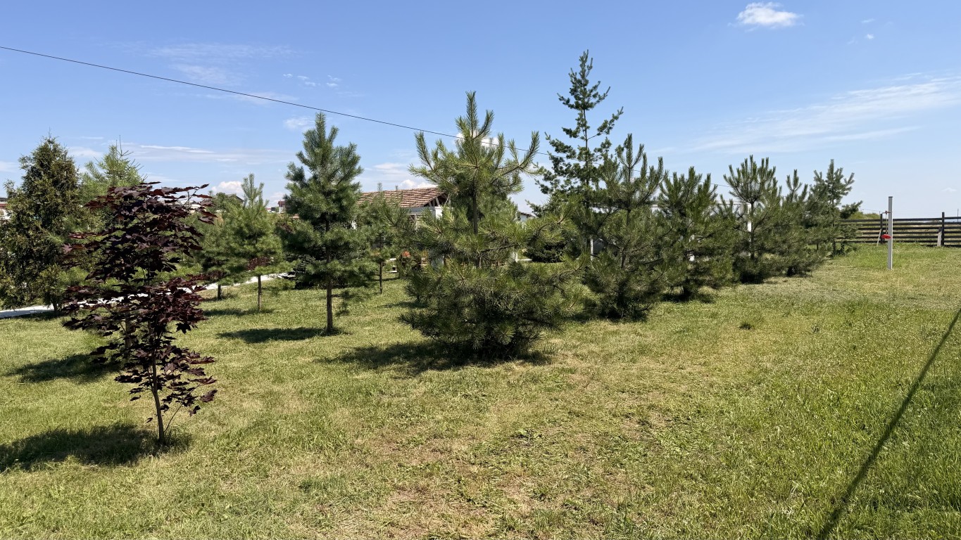 Большой бассейн River Park