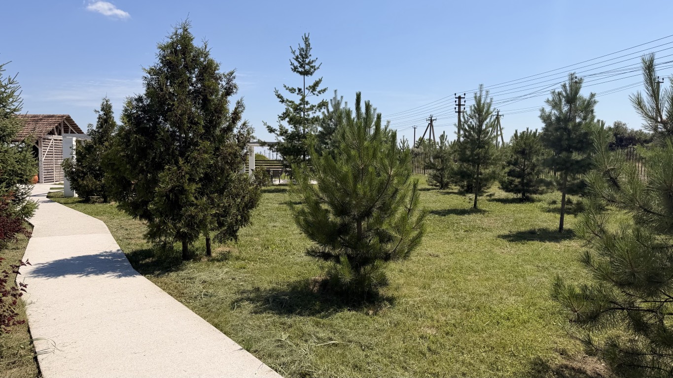Большой бассейн River Park